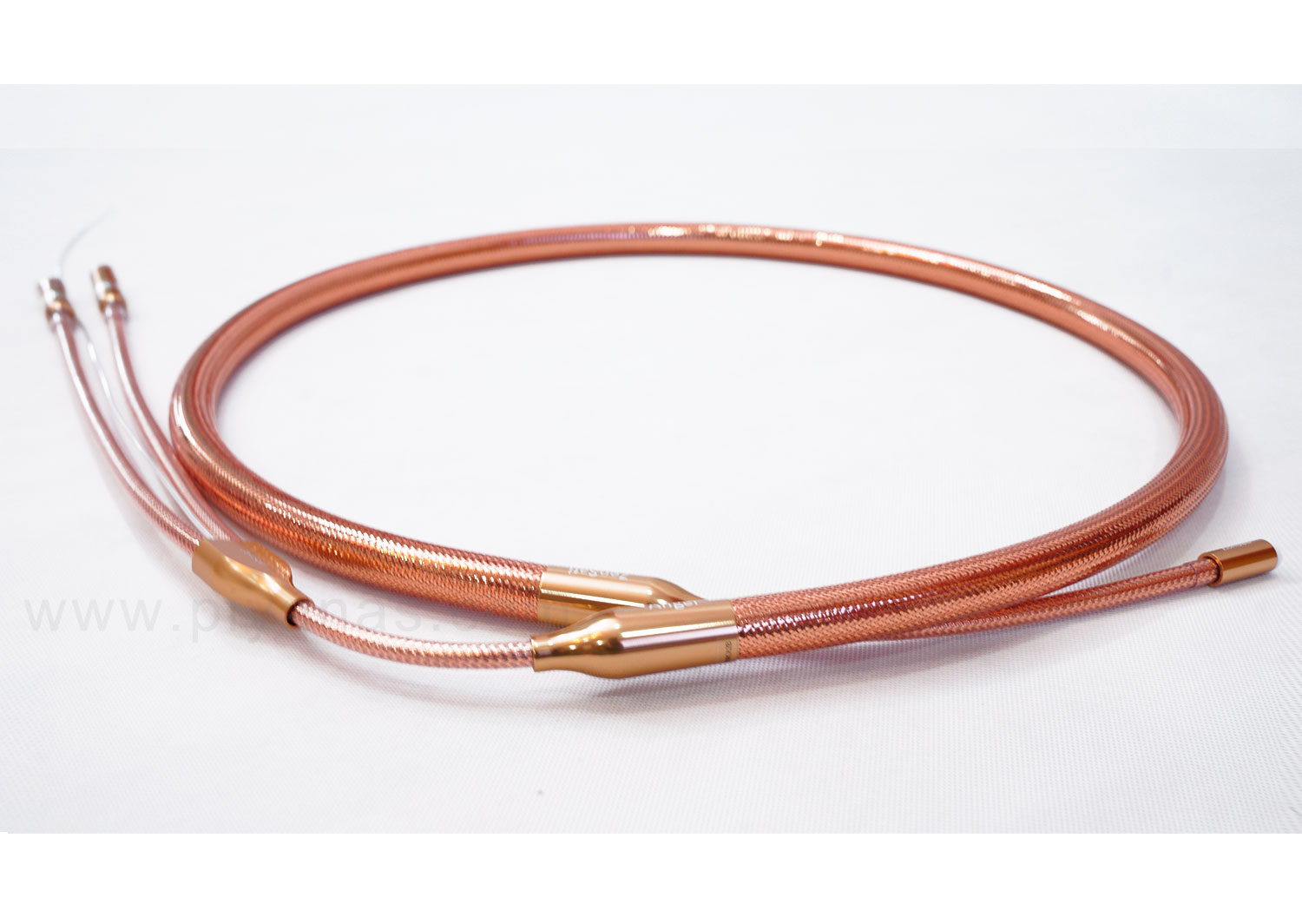 Angel Phono RCA (2.0M) - 1