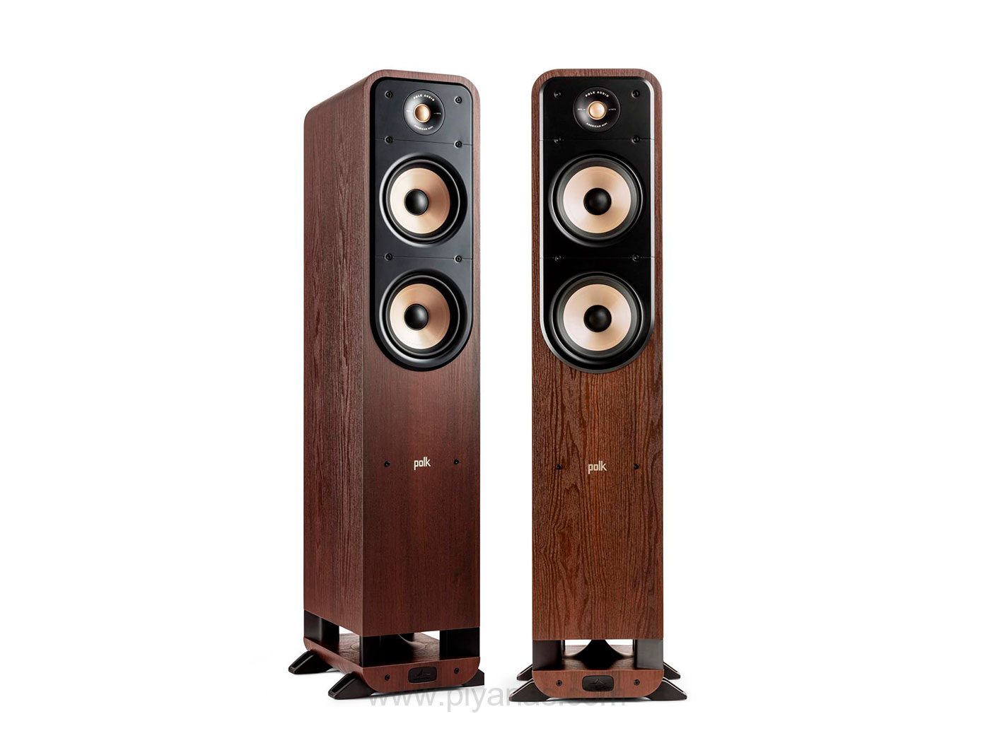 Signature Elite ES-55 (Brown Walnut) - 1