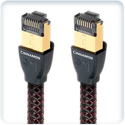 Ethernet Cable