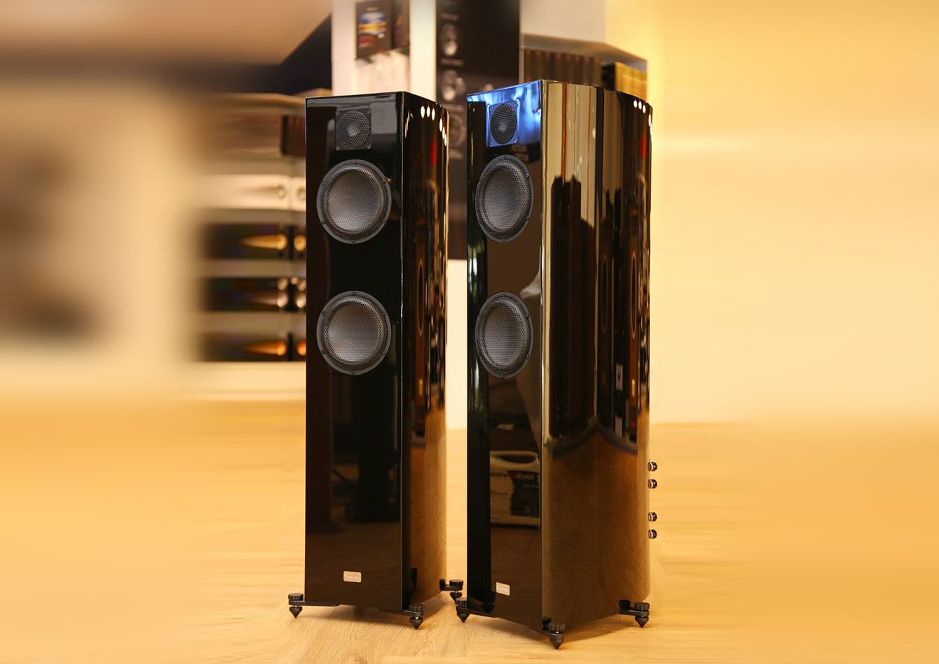 Vescova Ceramic tweeter Black Edition (Black) - 1